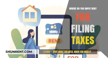 Where to Report Rental Income on Your Tax Return: A Guide