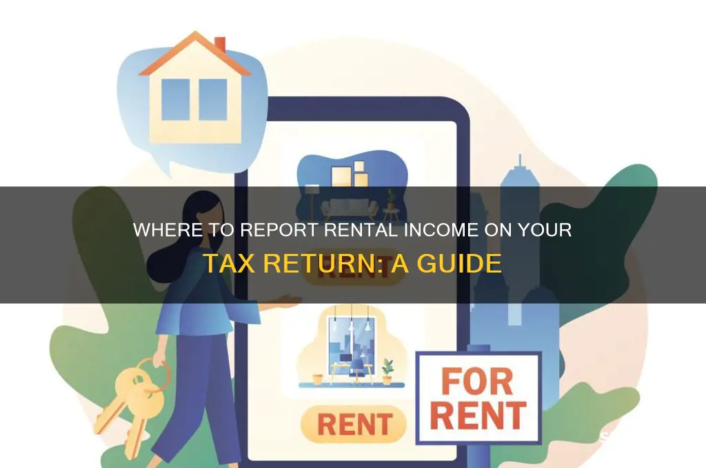 where do you input rent for filing taxes