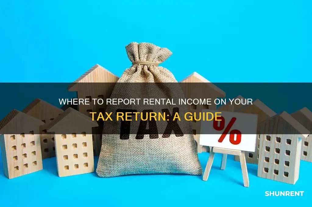 where do you put rent income taxes on taxes