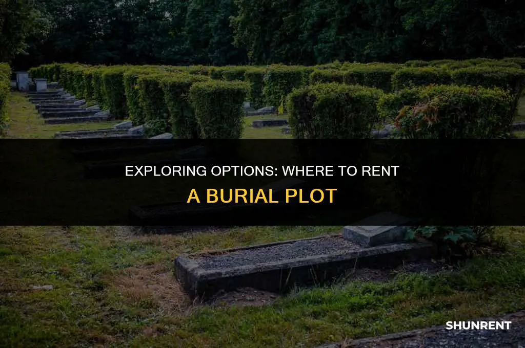 where do you rent a burial plot