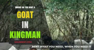 Rent a Goat in Kingman: Your Ultimate Guide to Local Services