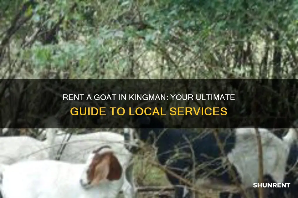 where do you rent a goat in kingman
