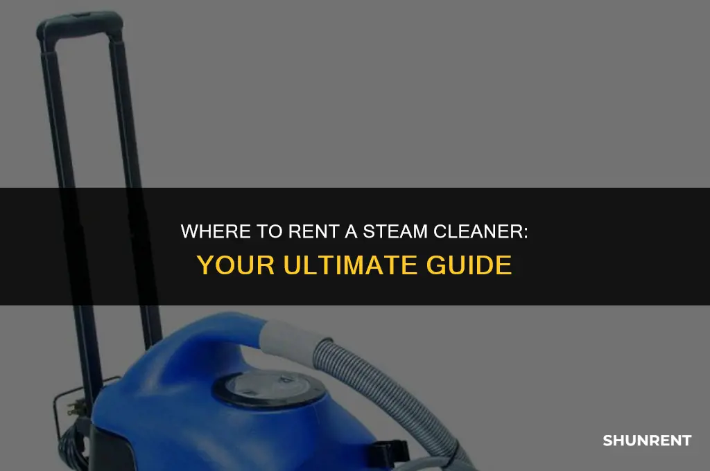 where do you rent a steam cleaner