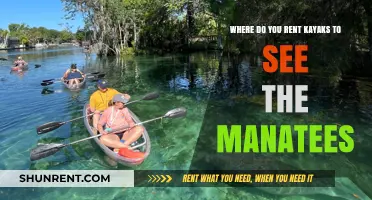 Best Kayak Rental Spots for Manatee Watching Adventures in Florida