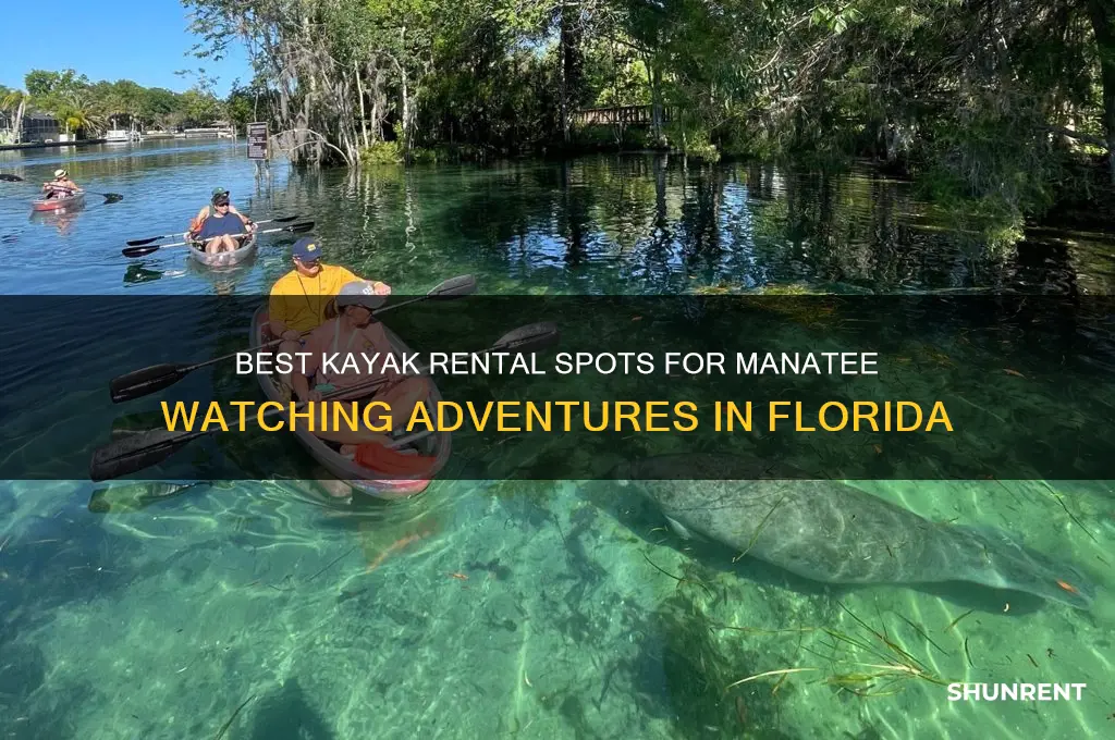 where do you rent kayaks to see the manatees