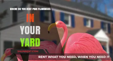 Renting Pink Flamingos: Fun Yard Decor Ideas Near You