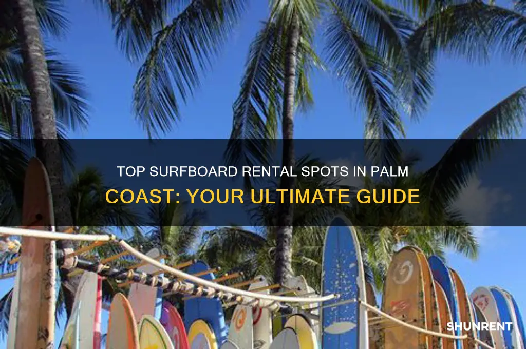 where do you rent surf boards at palm coast