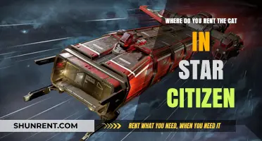 Renting a Cat in Star Citizen: Your Ultimate Guide to Space Pets