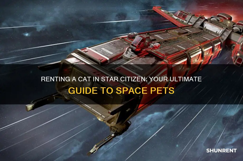 where do you rent the cat in star citizen