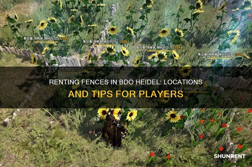 where do you rent the fence bdo heidel