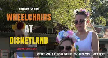 Exploring Disneyland: Your Guide to Renting Wheelchairs for a Magical Day