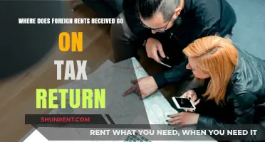 Foreign Rental Income: Tax Return Reporting and Filing Guide