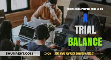 Prepaid Rent on Trial Balance: Proper Classification and Accounting Treatment