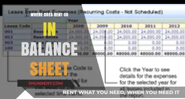 Decoding the Balance Sheet: Where Does Rent Expense Fit In?