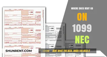 Decoding the 1099-NEC: Where Does Your Rent Expense Fit In?
