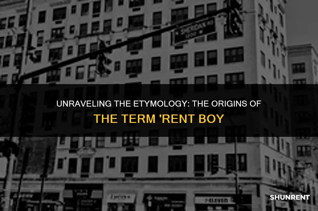 where does the term rent boy originate
