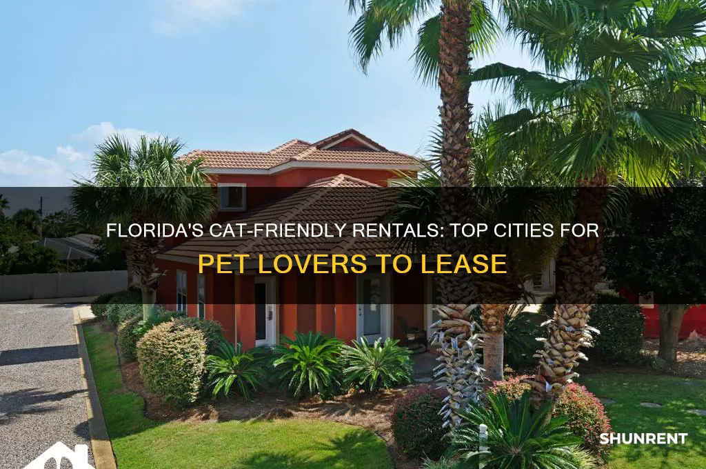 where in fl do the rent and allow cats