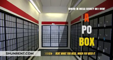 Renting a PO Box in Mesa County: Your Complete Location Guide