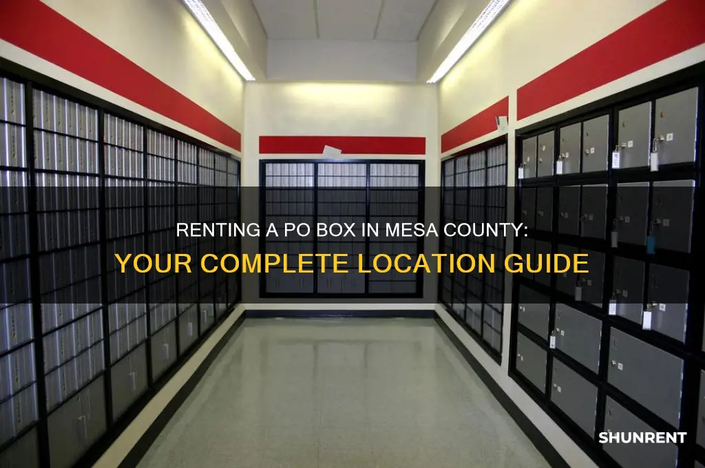 where in mesa county do i rent a po box