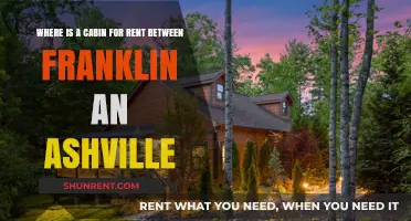 Discover Cozy Cabin Rentals Between Franklin and Asheville, NC