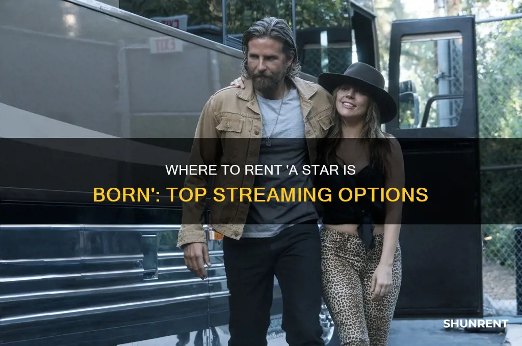 where is a star is born available for rent