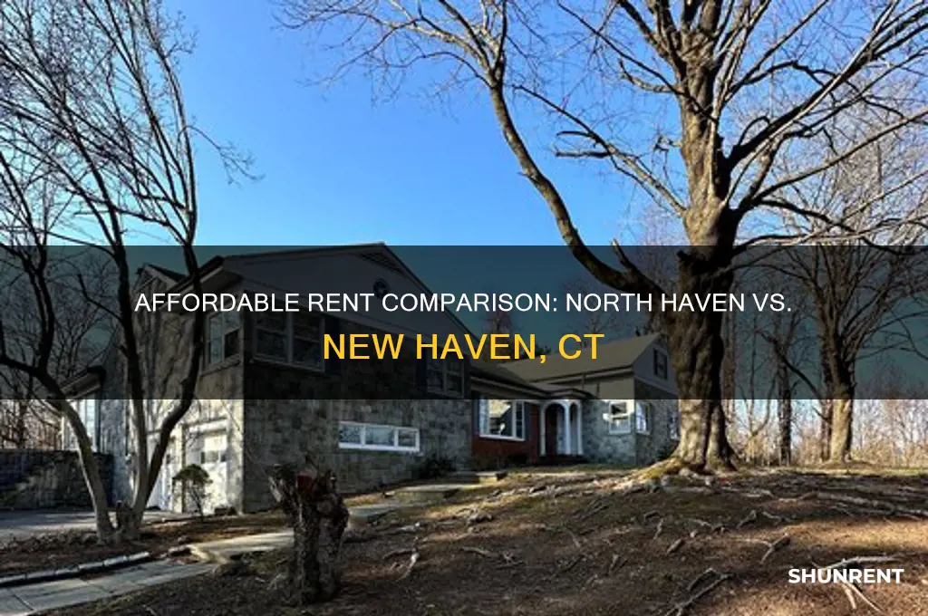 where is cheap rent north haven or new haven ct