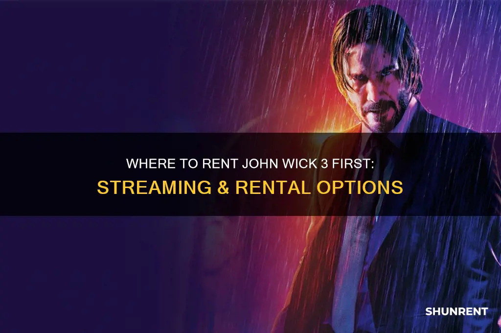 where is john wick 3 available first to rent