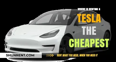 Discover the Most Affordable Tesla Rental Deals Worldwide