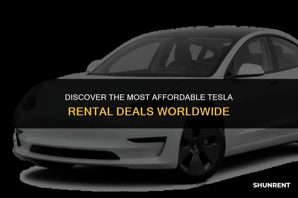 where is renting a tesla the cheapest