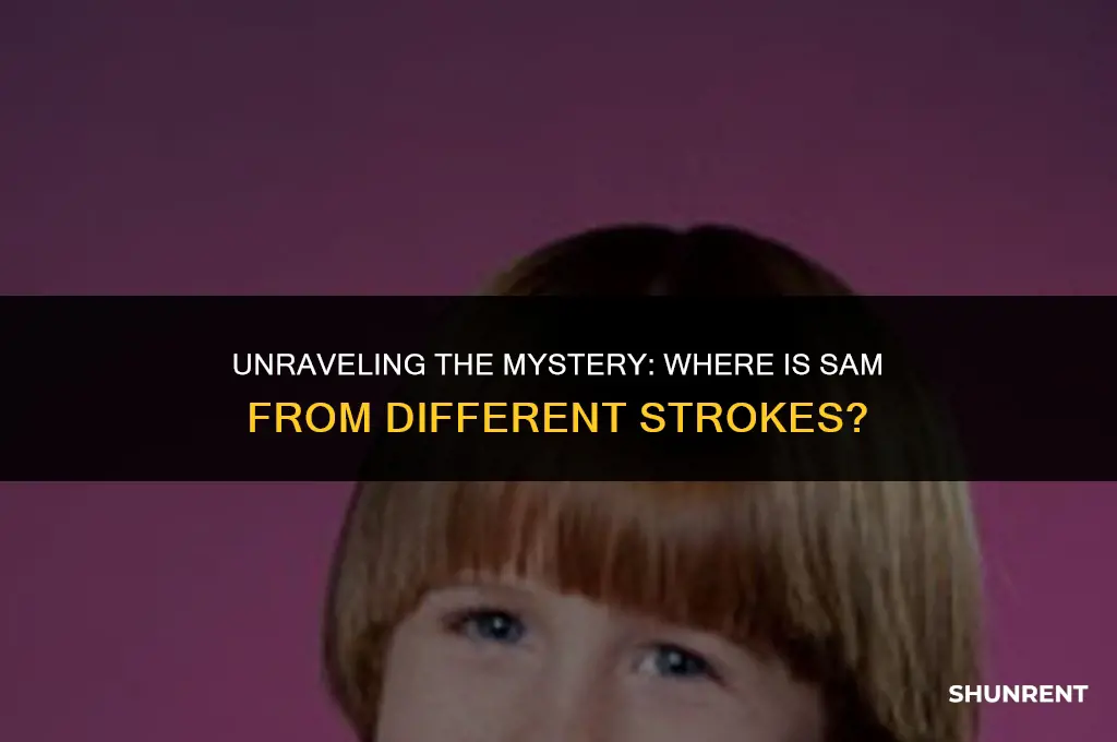 where is sam from different strokes