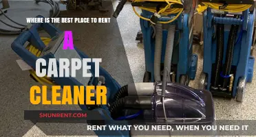 Top Locations to Rent a Carpet Cleaner for Spotless Results