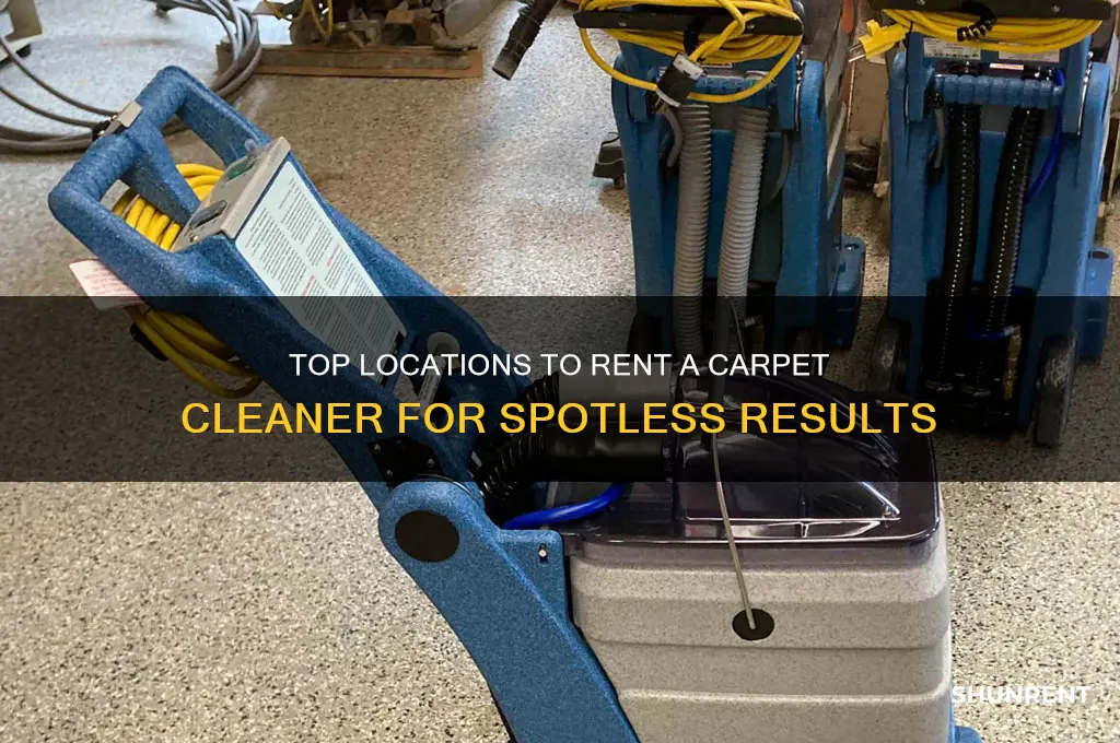 where is the best place to rent a carpet cleaner