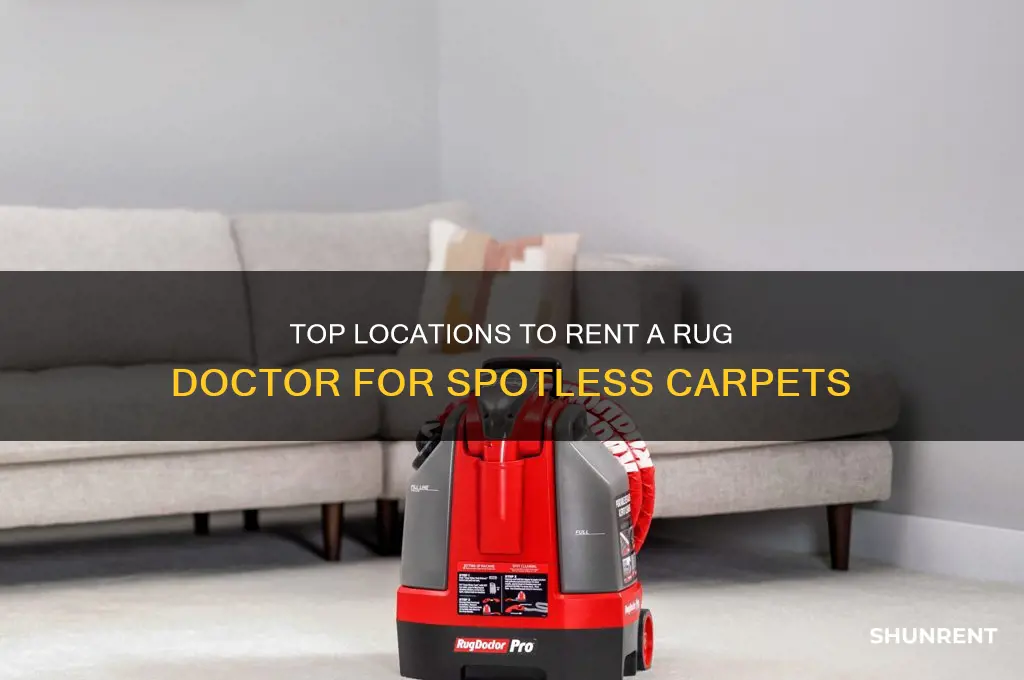 where is the best place to rent a rug doctor