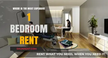Top Cities with Sky-High 1-Bedroom Rental Prices Revealed