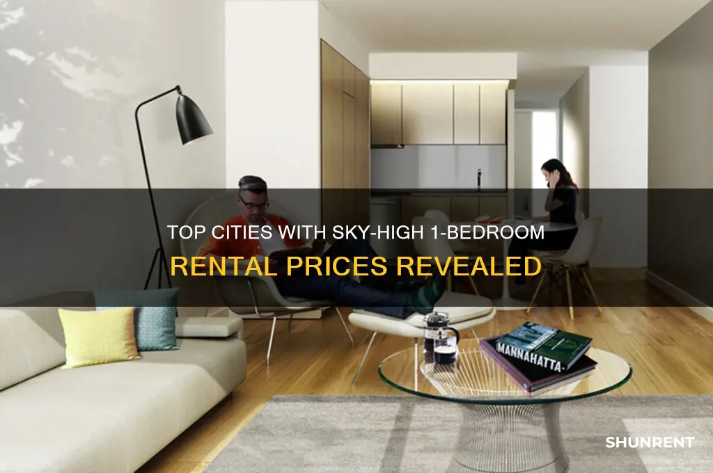 where is the most expensive 1 bedroom rent