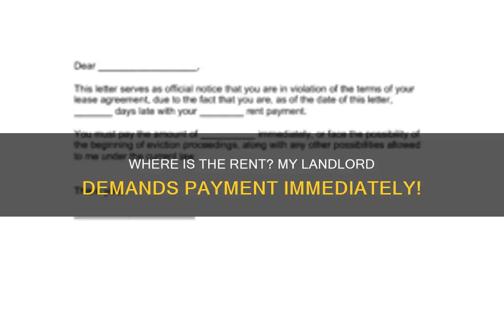 where is the rent i must have the rent