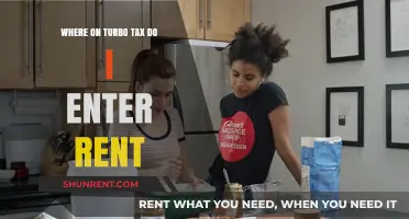 TurboTax Rent Entry Guide: Where to Input Rental Expenses