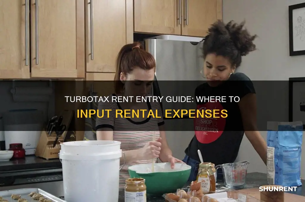 where on turbo tax do i enter rent