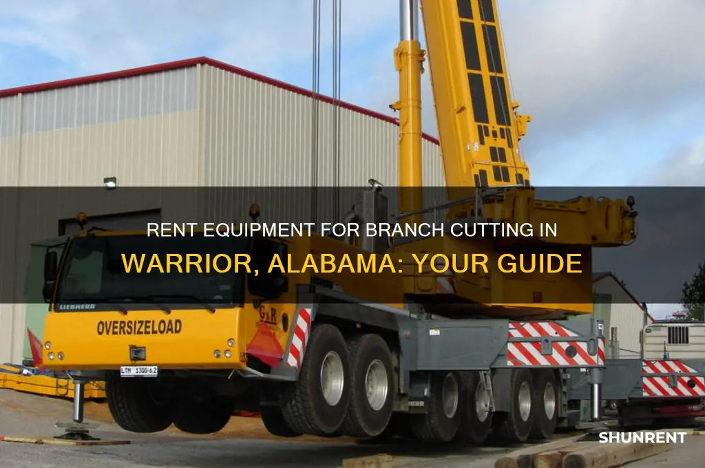 where rent stuff cut branches in warrior alabama