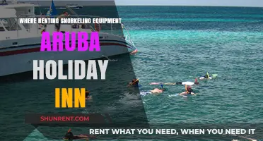 Snorkeling Adventures Await: Renting Gear at Aruba Holiday Inn