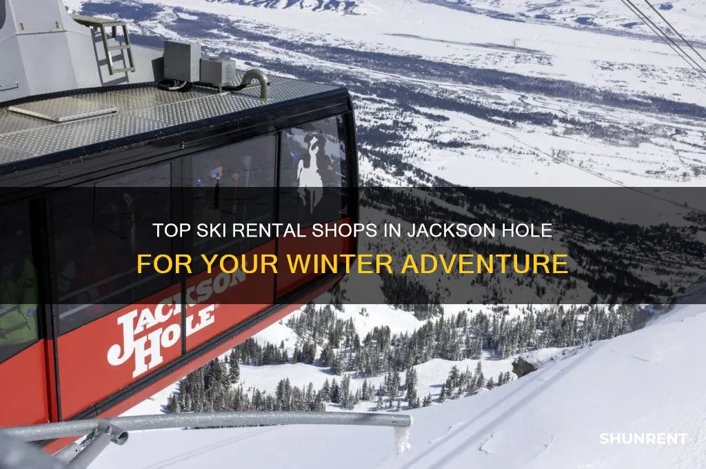 where should i rent skis in jackson hole