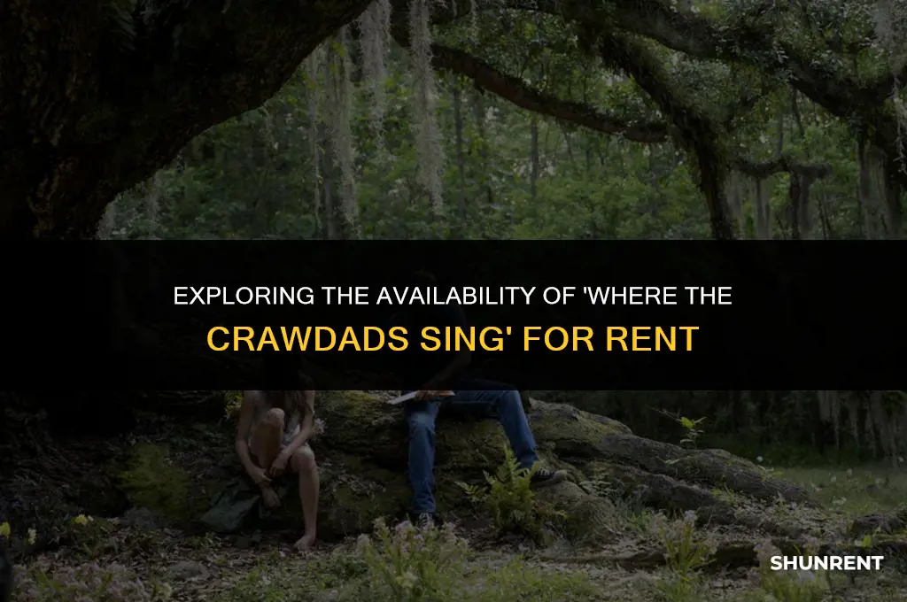 where the crawdads sing available to rent