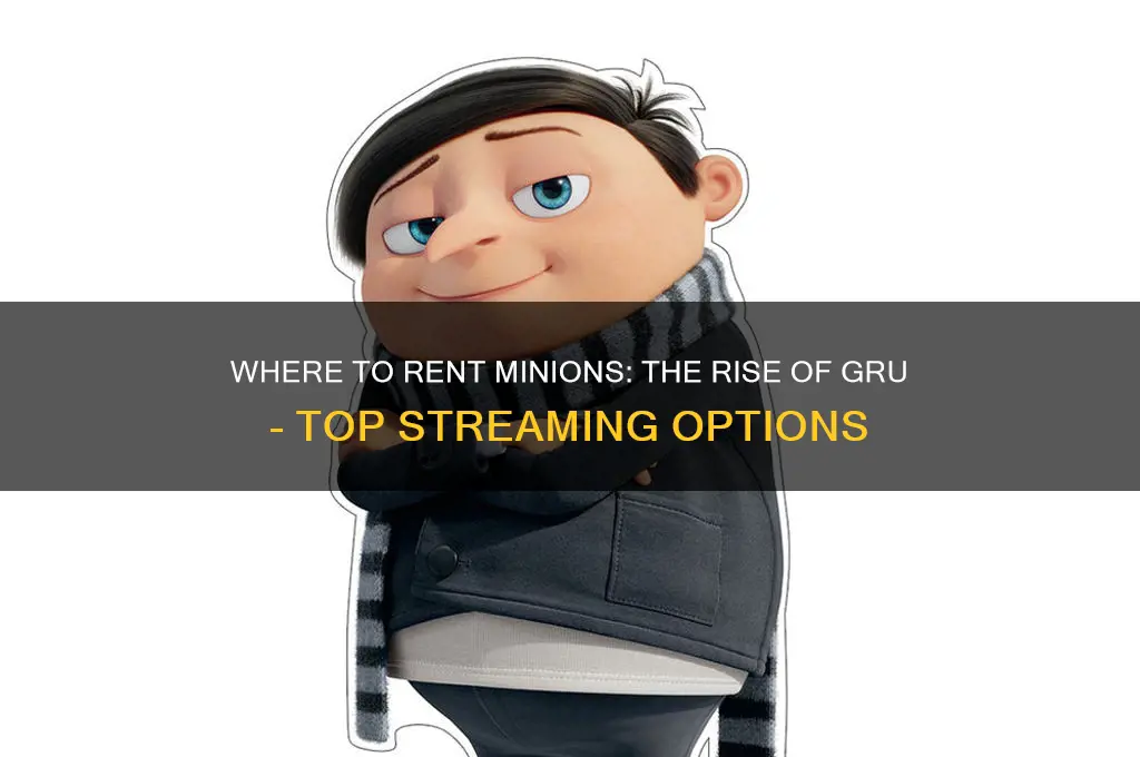 where ti rent minions the rise of gru