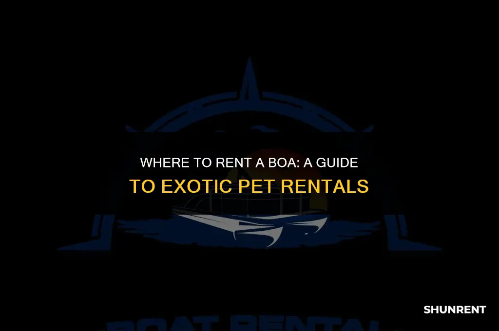 where to ask to rent a boa