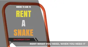 Exploring Exotic Pets: Where to Inquire About Renting a Snake