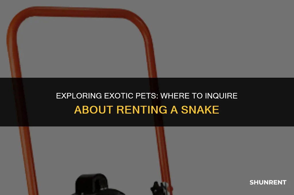 where to ask to rent a snake