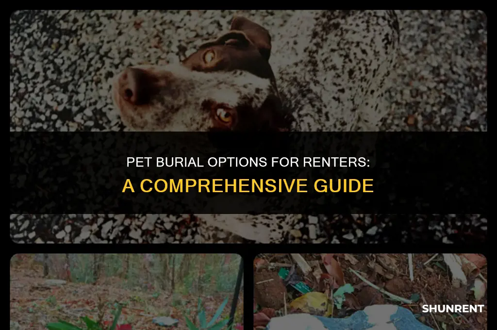 where to bury pets when you rent