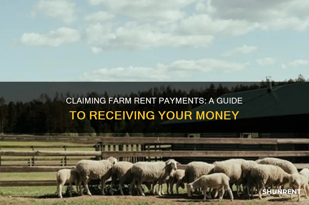 where to claim farm rent money paid out