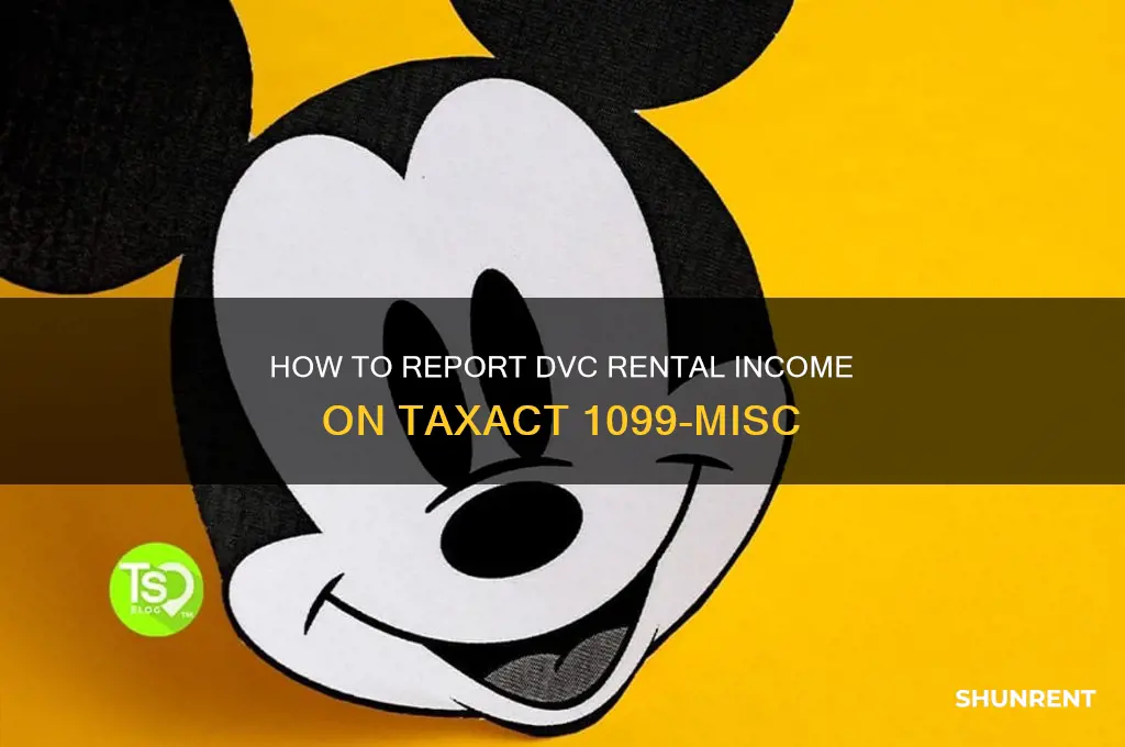where to enter dvc rent into taxact 1099-misc