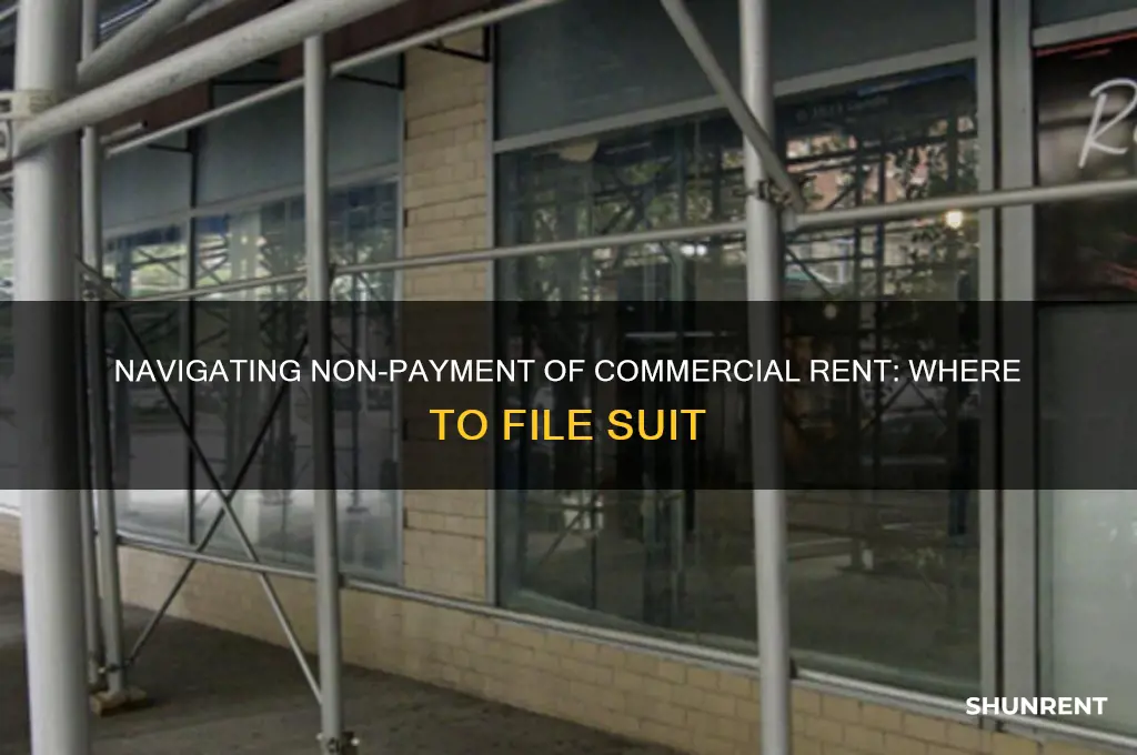 where to file suit for non payment of commercial rent